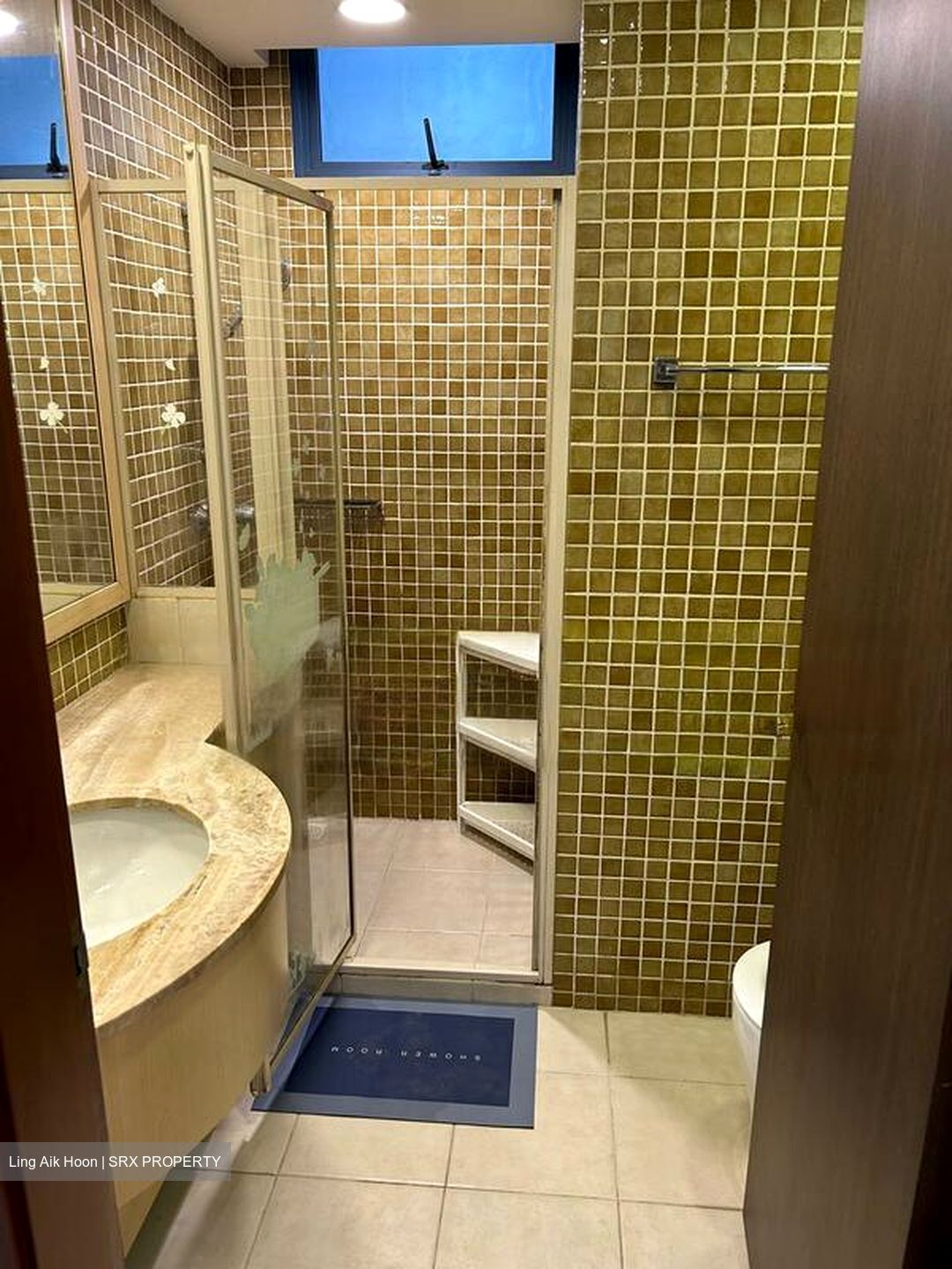 Blue Horizon (D5), Condominium #474690131